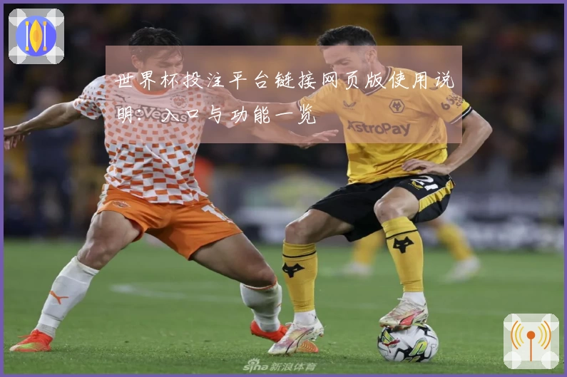 世界杯投注平台链接网页版使用说明:入口与功能一览