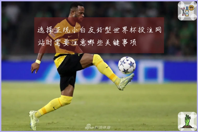 选择正规小白友好型世界杯投注网站时需要注意哪些关键事项
