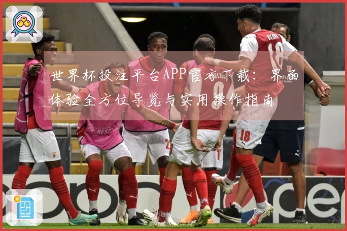 世界杯投注平台APP官方下载：界面体验全方位导览与实用操作指南