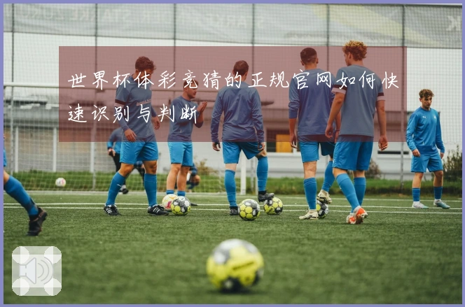 世界杯体彩竞猜的正规官网如何快速识别与判断