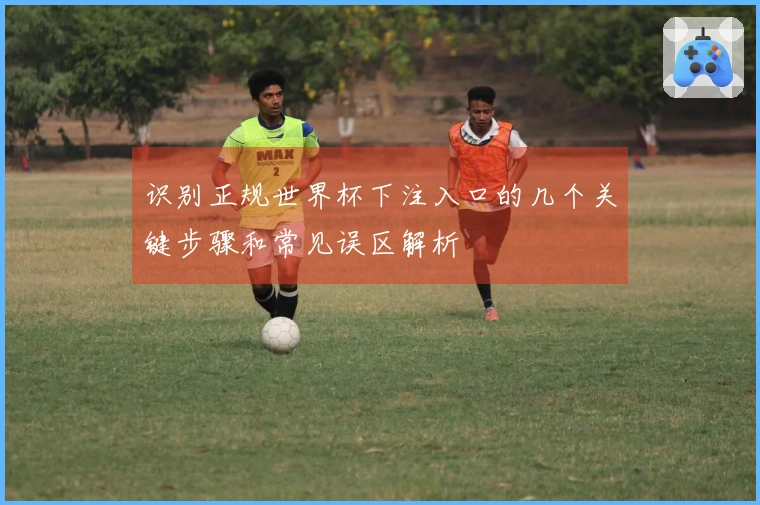 识别正规世界杯下注入口的几个关键步骤和常见误区解析