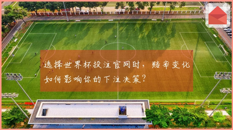 选择世界杯投注官网时，赔率变化如何影响你的下注决策？