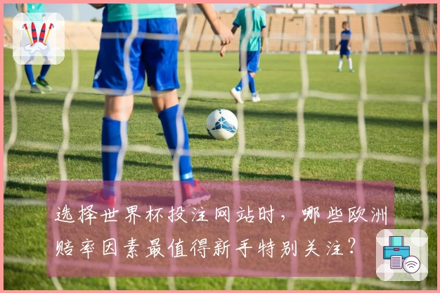 选择世界杯投注网站时，哪些欧洲赔率因素最值得新手特别关注？