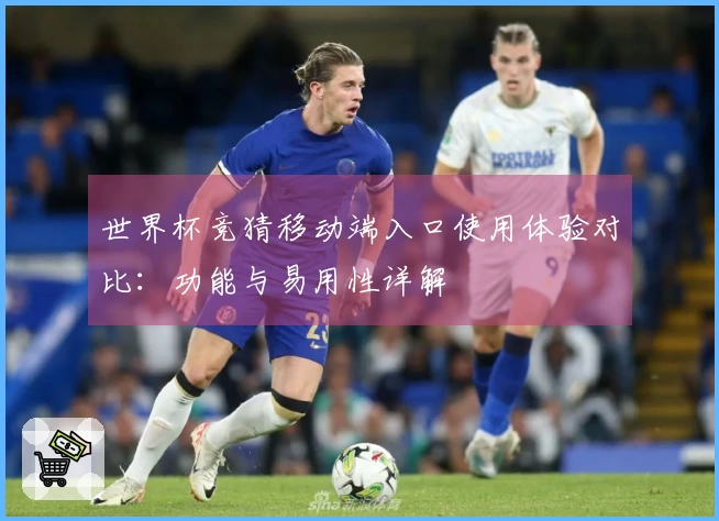 世界杯竞猜移动端入口使用体验对比：功能与易用性详解