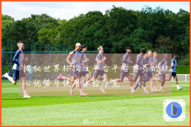 揭秘世界杯投注平台平台首页的核心优势与使用体验导览