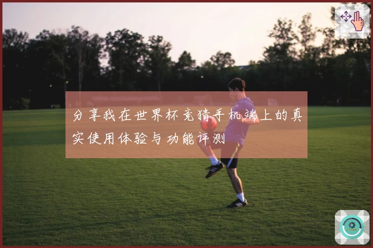 分享我在世界杯竞猜手机端上的真实使用体验与功能评测