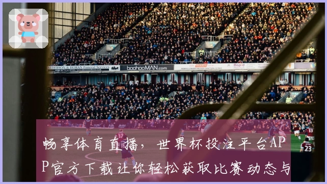 畅享体育直播，世界杯投注平台APP官方下载让你轻松获取比赛动态与精彩瞬间