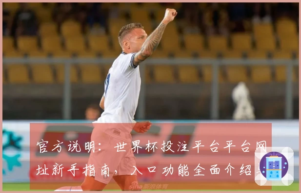 官方说明:世界杯投注平台平台网址新手指南,入口功能全面介绍与使用体验