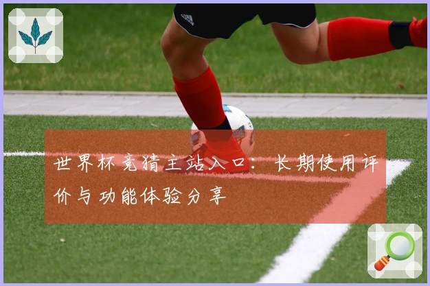 世界杯竞猜主站入口：长期使用评价与功能体验分享