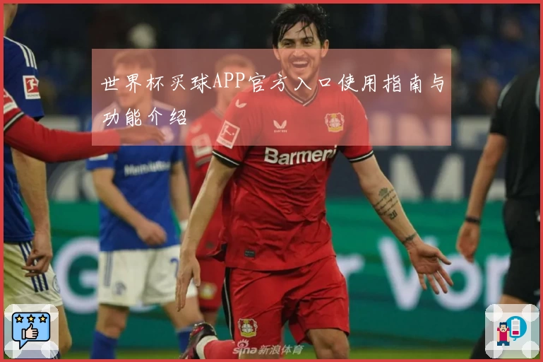 世界杯买球APP官方入口使用指南与功能介绍