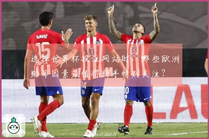 选择世界杯投注网站时，哪些欧洲赔率因素最值得新手特别关注？