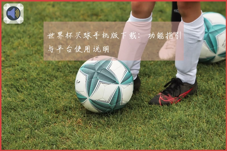 世界杯买球手机版下载：功能指引与平台使用说明