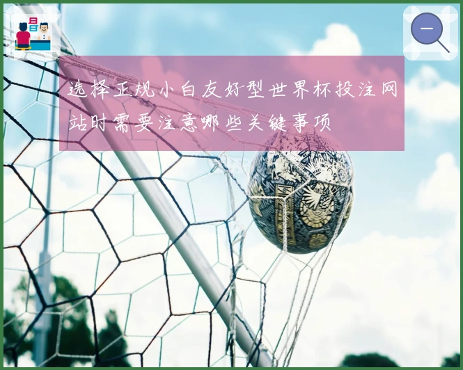 选择正规小白友好型世界杯投注网站时需要注意哪些关键事项