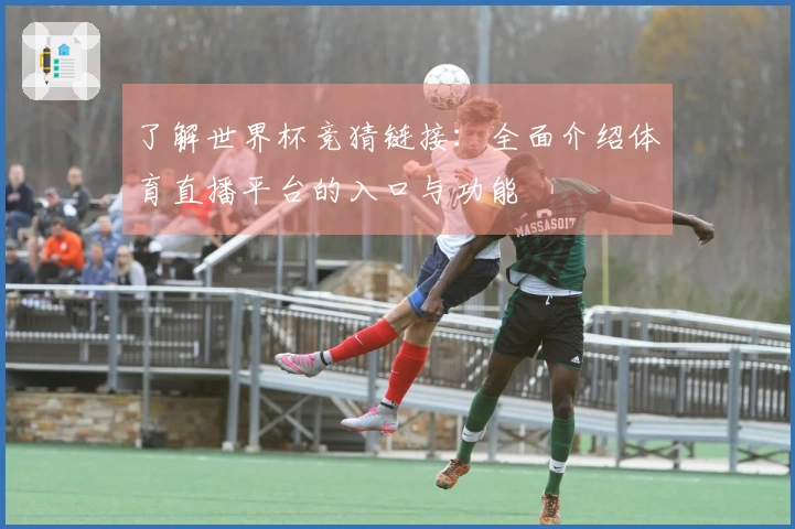 了解世界杯竞猜链接：全面介绍体育直播平台的入口与功能